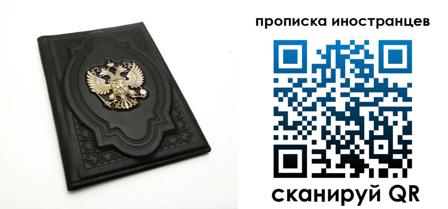 прописка иностранных граждан в Мончегорске